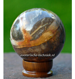 Edelsteen bol of Sphere Versteend Hout