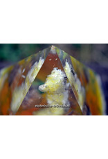 Bruciet orgonite piramide met witte Calciet, Silicium en Shungite Bruciet orgonite piramide met witte Calciet, Silicium en Shungite