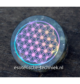 Preseli Bluestone oplaadschijfje