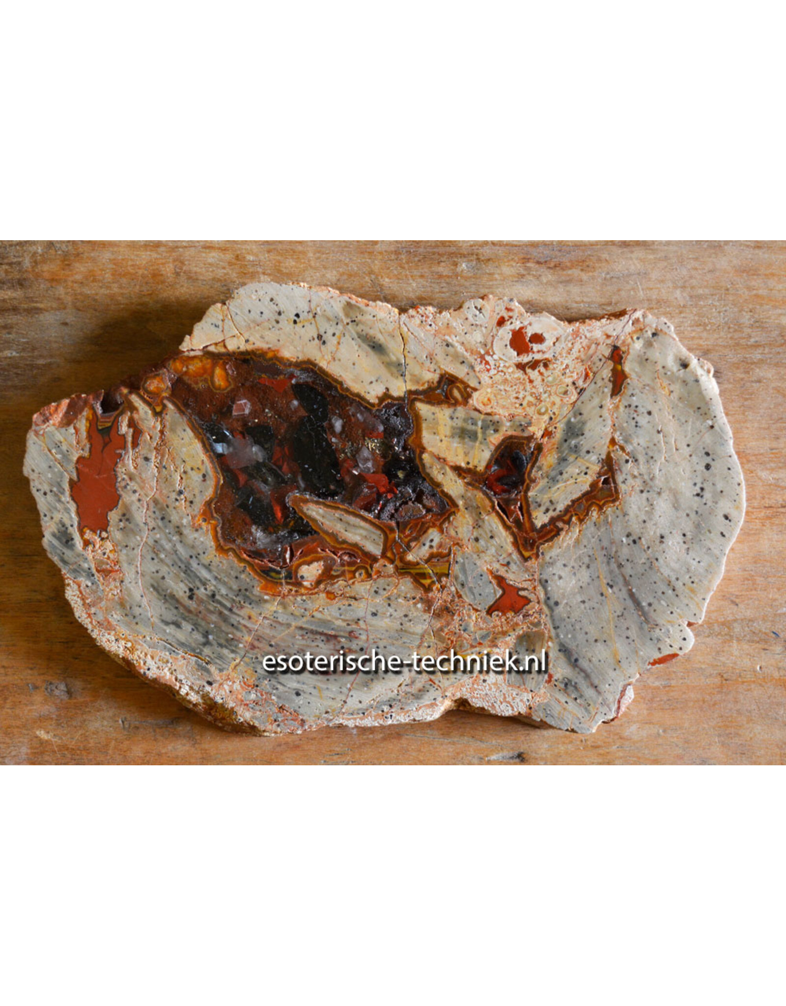 Orgonite Versteend Hout met Nuummiet, Rode Jaspis, Azeztuliet en Shungiet