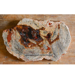 Orgonite Versteend Hout Nuummiet Orgonite Versteend Hout Nuummiet