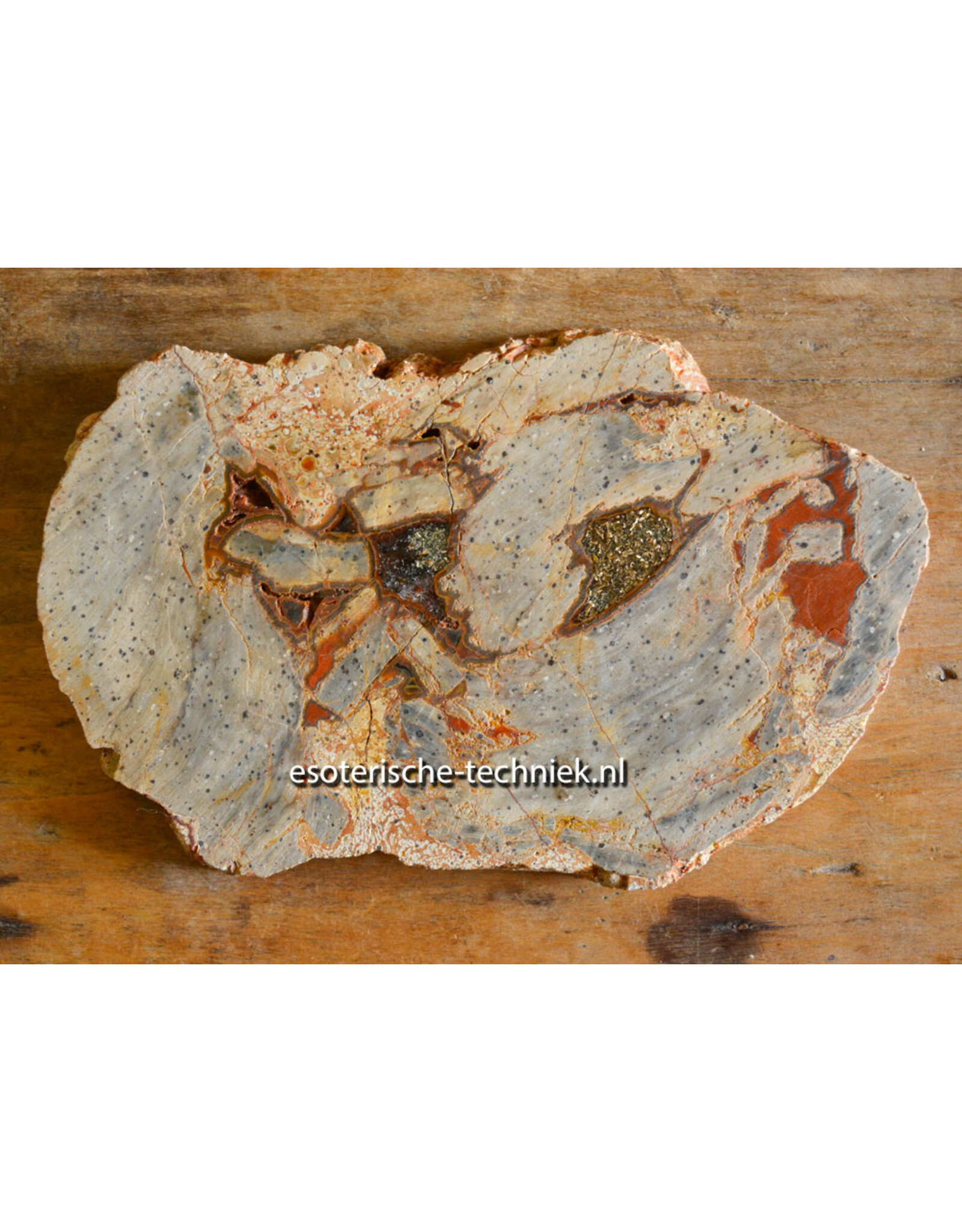Orgonite Versteend Hout met Nuummiet, Rode Jaspis, Azeztuliet en Shungiet
