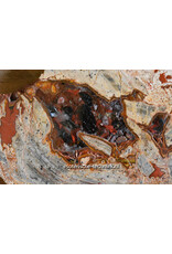 Orgonite Versteend Hout met Nuummiet, Rode Jaspis, Azeztuliet en Shungiet