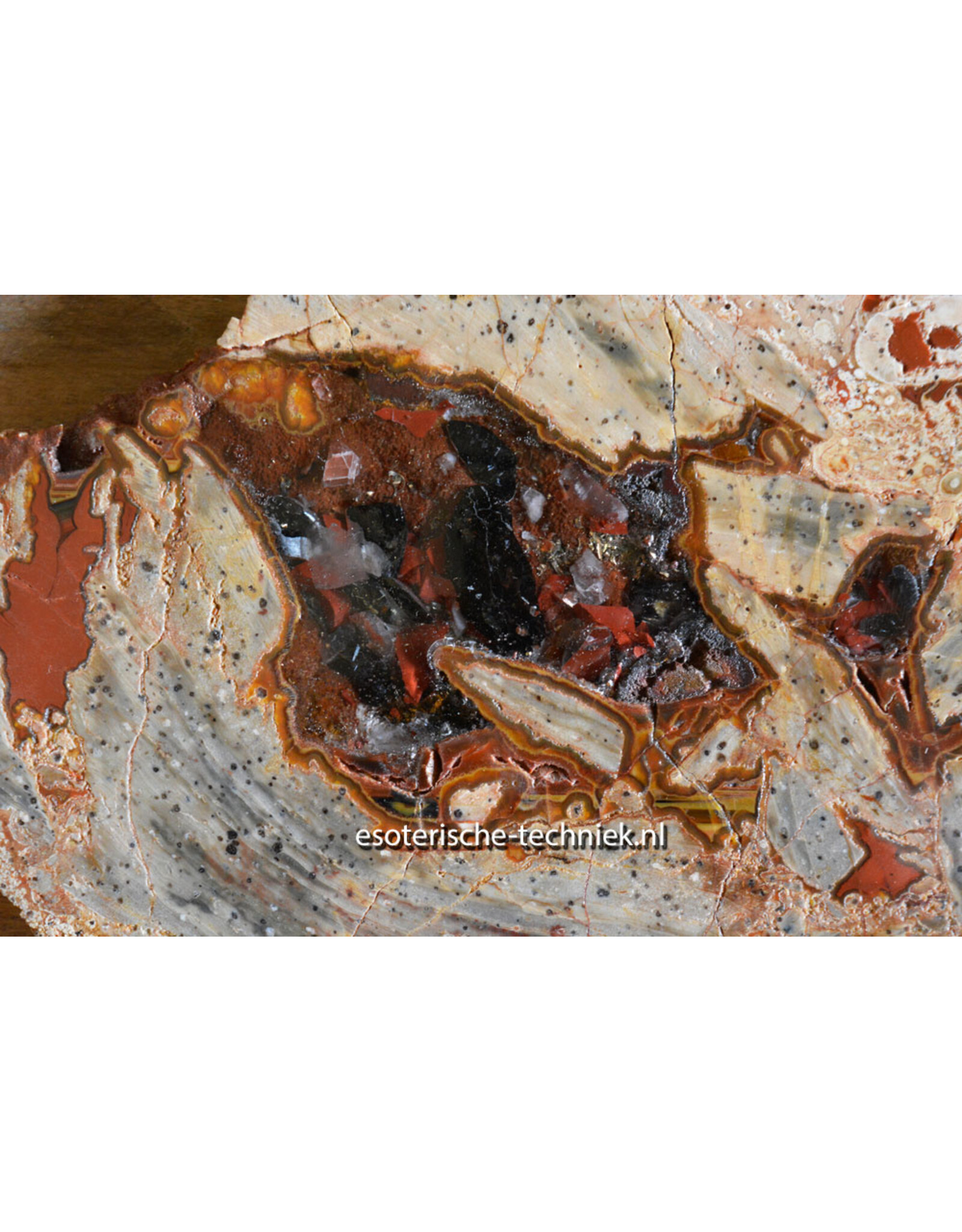 Orgonite Versteend Hout met Nuummiet, Rode Jaspis, Azeztuliet en Shungiet