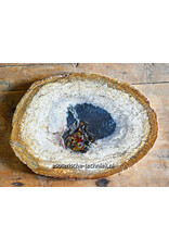 Versteend Palmboom Hout Orgonite met Mookaïet, Herkimers en Shungite