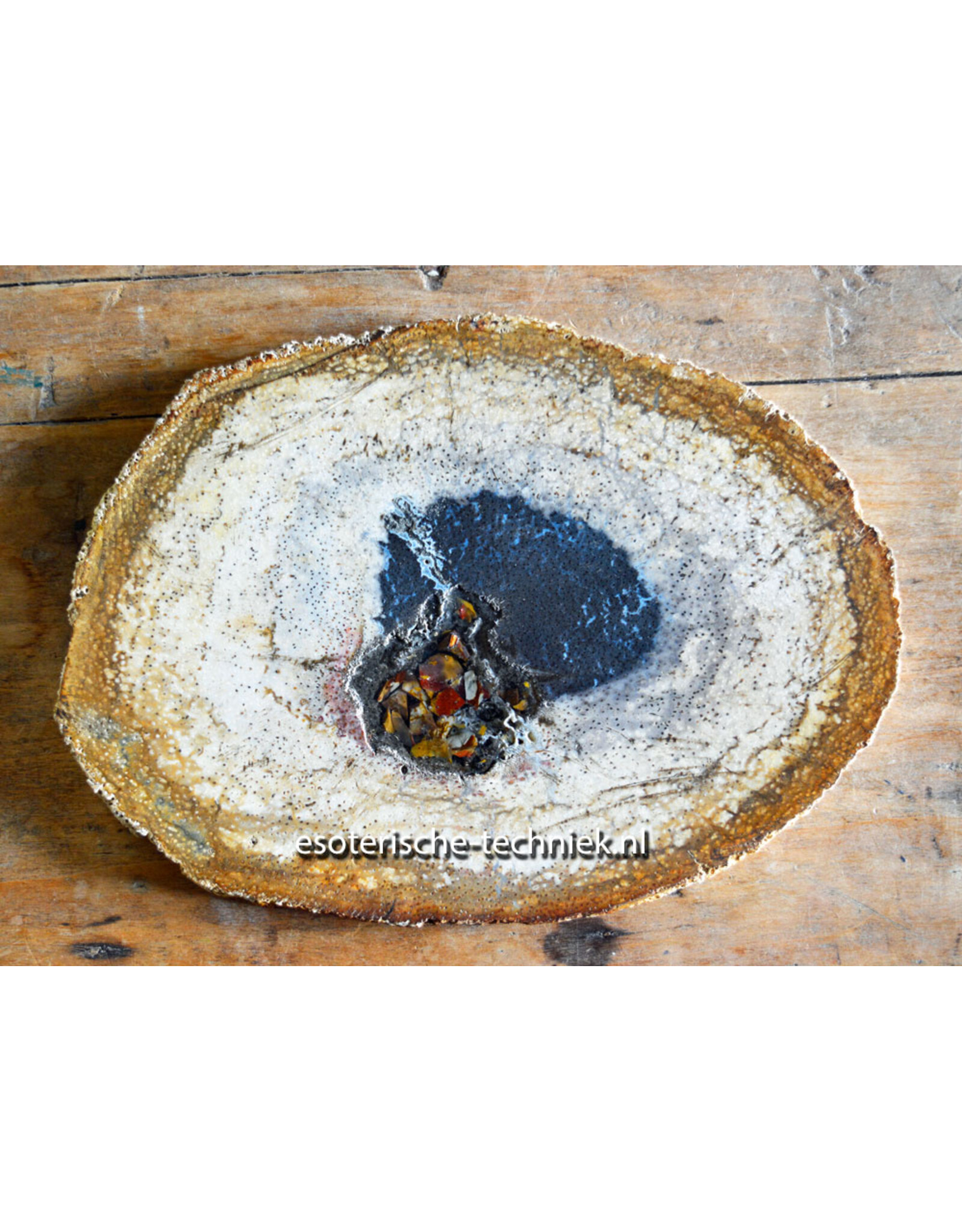 Versteend Palmboom Hout Orgonite met Mookaïet, Herkimers en Shungite