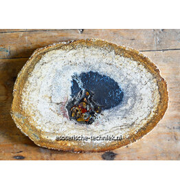Orgonite Charging Disc Petrified Palm Wood
