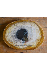 Versteend Palmboom Hout Orgonite met Mookaïet, Herkimers en Shungite