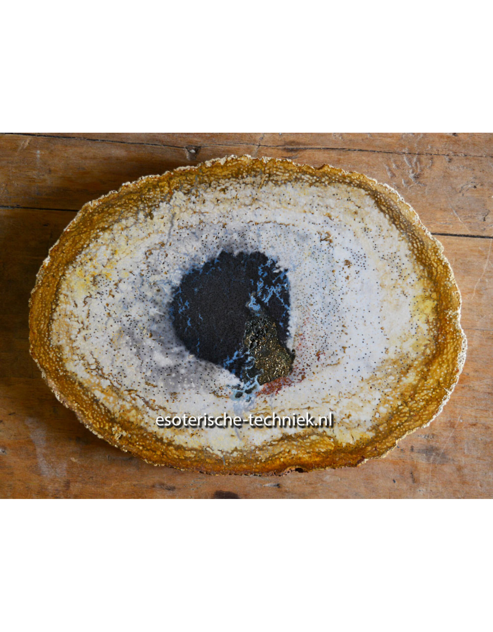 Versteend Palmboom Hout Orgonite met Mookaïet, Herkimers en Shungite