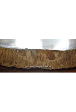 Versteend Palmboom Hout Orgonite met Mookaïet, Herkimers en Shungite