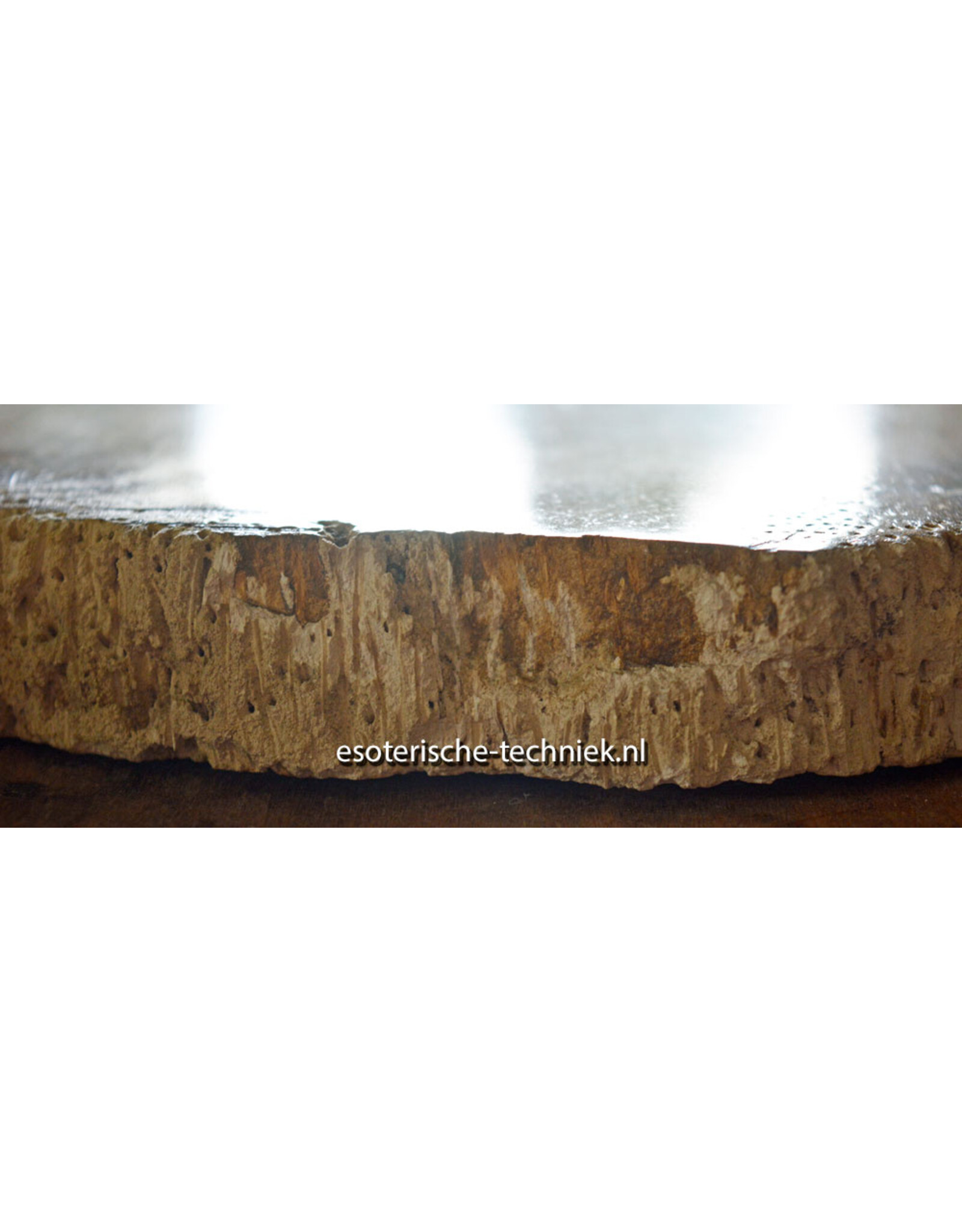 Versteend Palmboom Hout Orgonite met Mookaïet, Herkimers en Shungite