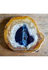 Palmboom versteend hout met orgonite met Sonora Sunrise en Shungiet