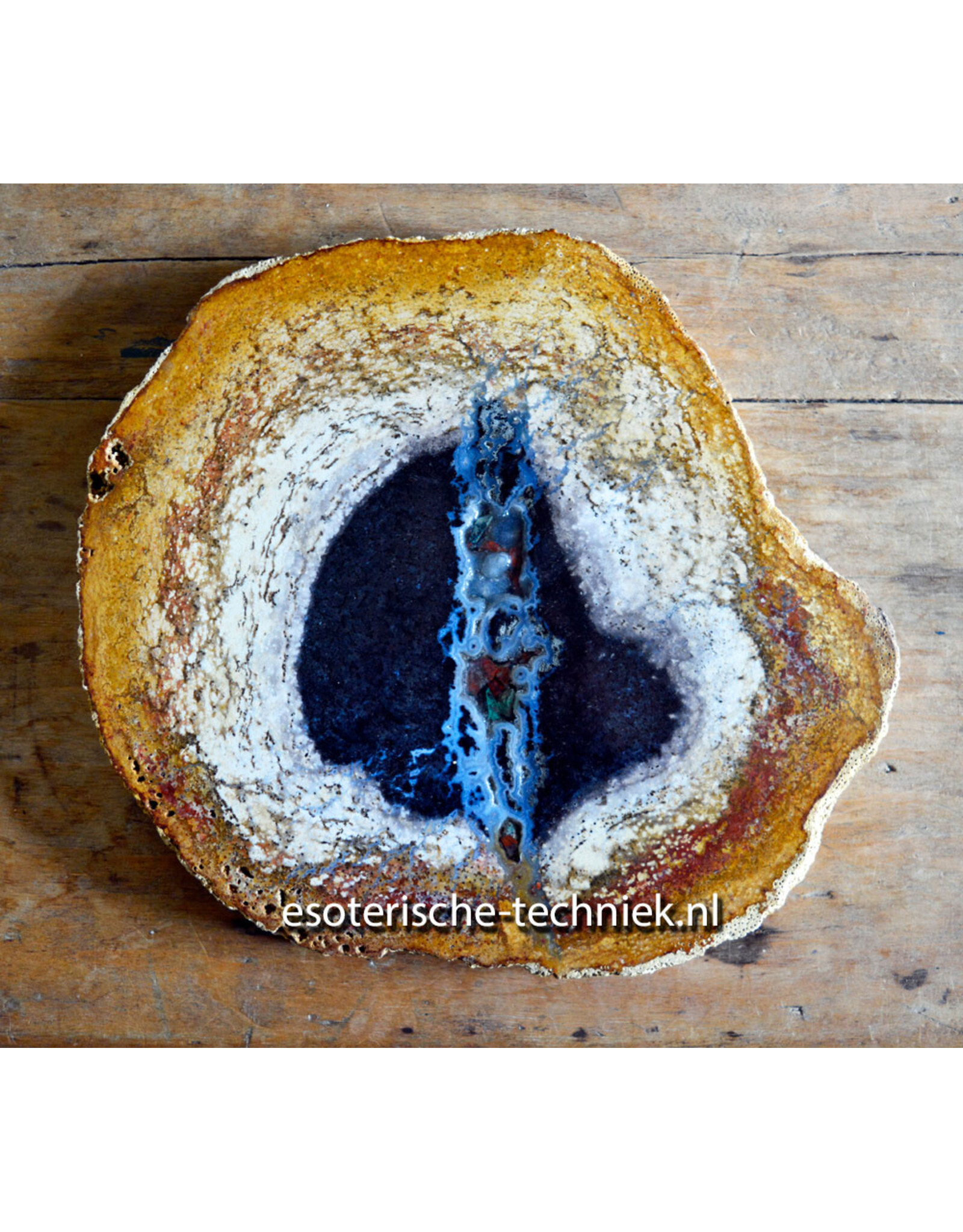 Palmboom versteend hout met orgonite met Sonora Sunrise en Shungiet