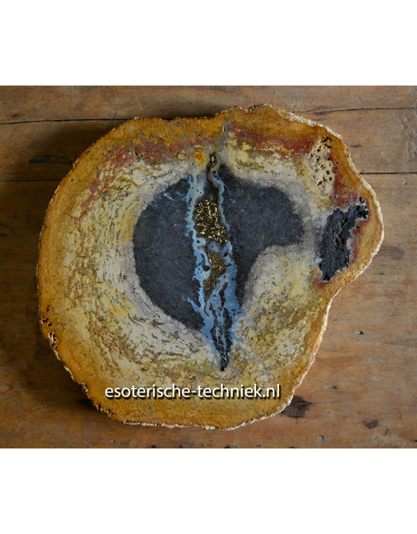 Palmboom versteend hout met orgonite met Sonora Sunrise en Shungiet