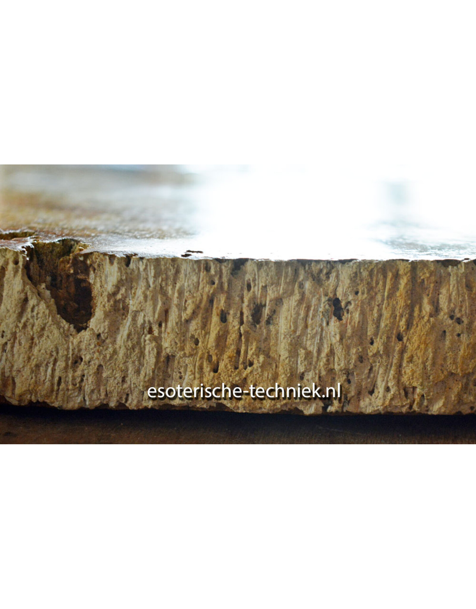 Palmboom versteend hout met orgonite met Sonora Sunrise en Shungiet