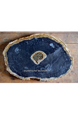 Orgonite Charging Disc | Petrified Palm Wood (Pohon Kelapa) with Apatite, Red Jasper, Arkansas Crystal & Shungite