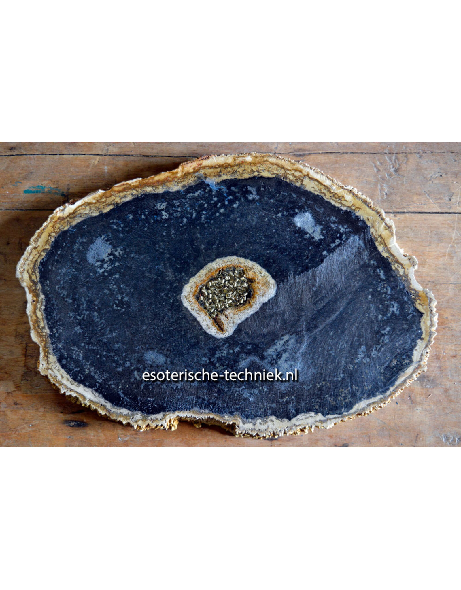Orgonite Oplaadschijf Versteend Palmboom Hout (Pohon Kelapa) met Apatiet, Rode Jaspis, Arkansas Bergkristal en Shungite