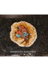Orgonite Charging Disc | Petrified Palm Wood (Pohon Kelapa) with Apatite, Red Jasper, Arkansas Crystal & Shungite