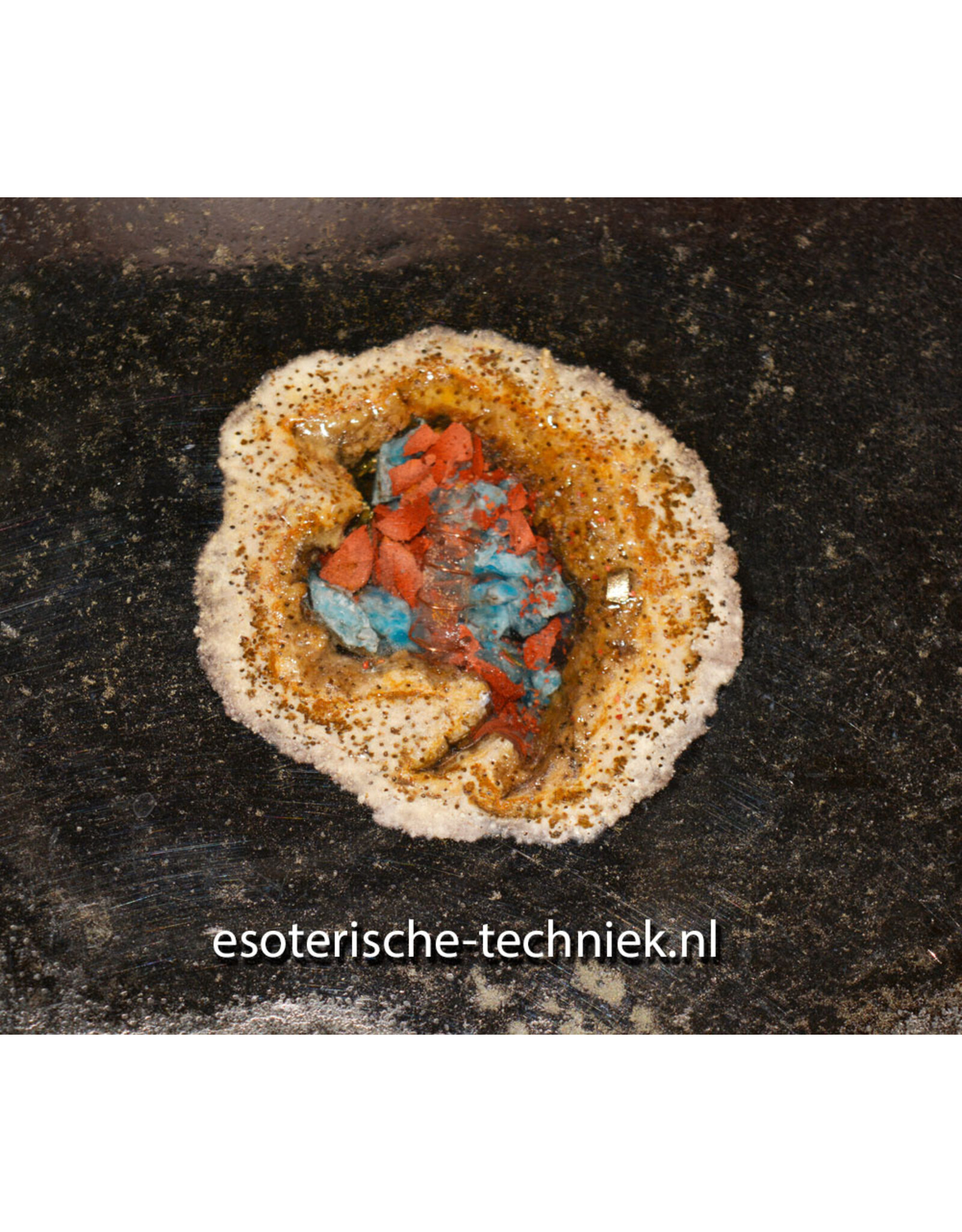 Orgonite Oplaadschijf Versteend Palmboom Hout (Pohon Kelapa) met Apatiet, Rode Jaspis, Arkansas Bergkristal en Shungite