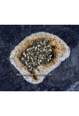 Orgonite Oplaadschijf Versteend Palmboom Hout (Pohon Kelapa) met Apatiet, Rode Jaspis, Arkansas Bergkristal en Shungite Orgonite Oplaadschijf Versteend Palmboom Hout (Pohon Kelapa) met Apatiet, Rode Jaspis, Arkansas Bergkristal en Shungite