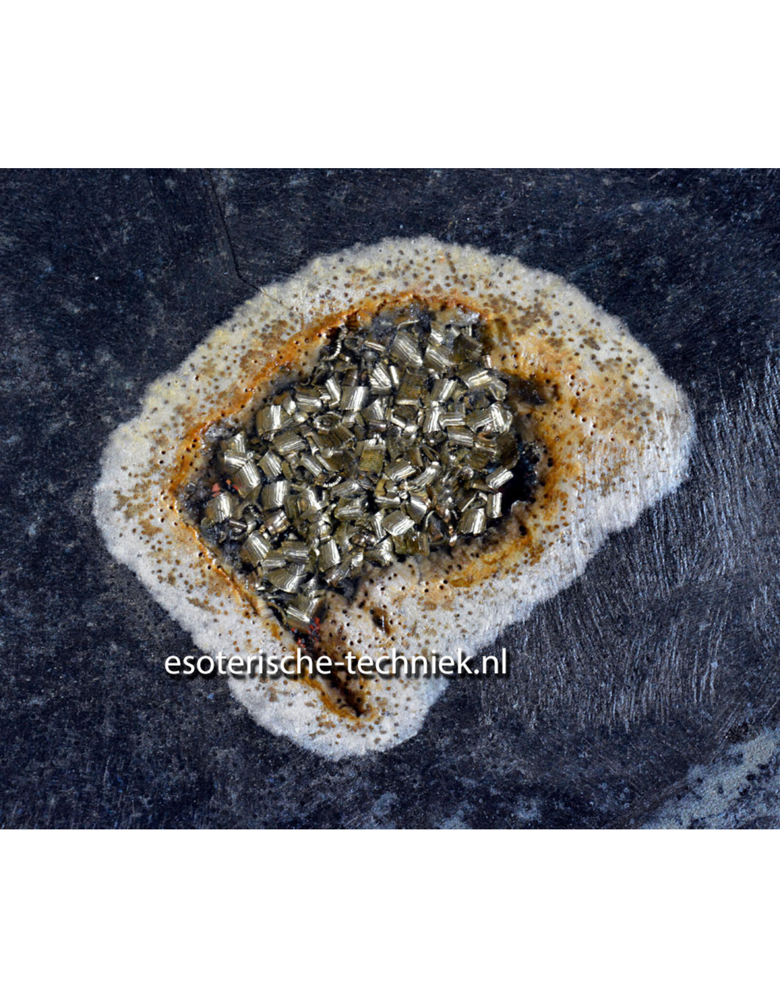 Orgonite Oplaadschijf Versteend Palmboom Hout (Pohon Kelapa) met Apatiet, Rode Jaspis, Arkansas Bergkristal en Shungite