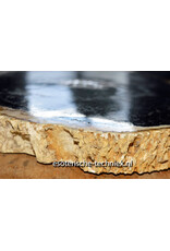 Orgonite Oplaadschijf Versteend Palmboom Hout (Pohon Kelapa) met Apatiet, Rode Jaspis, Arkansas Bergkristal en Shungite Orgonite Oplaadschijf Versteend Palmboom Hout (Pohon Kelapa) met Apatiet, Rode Jaspis, Arkansas Bergkristal en Shungite