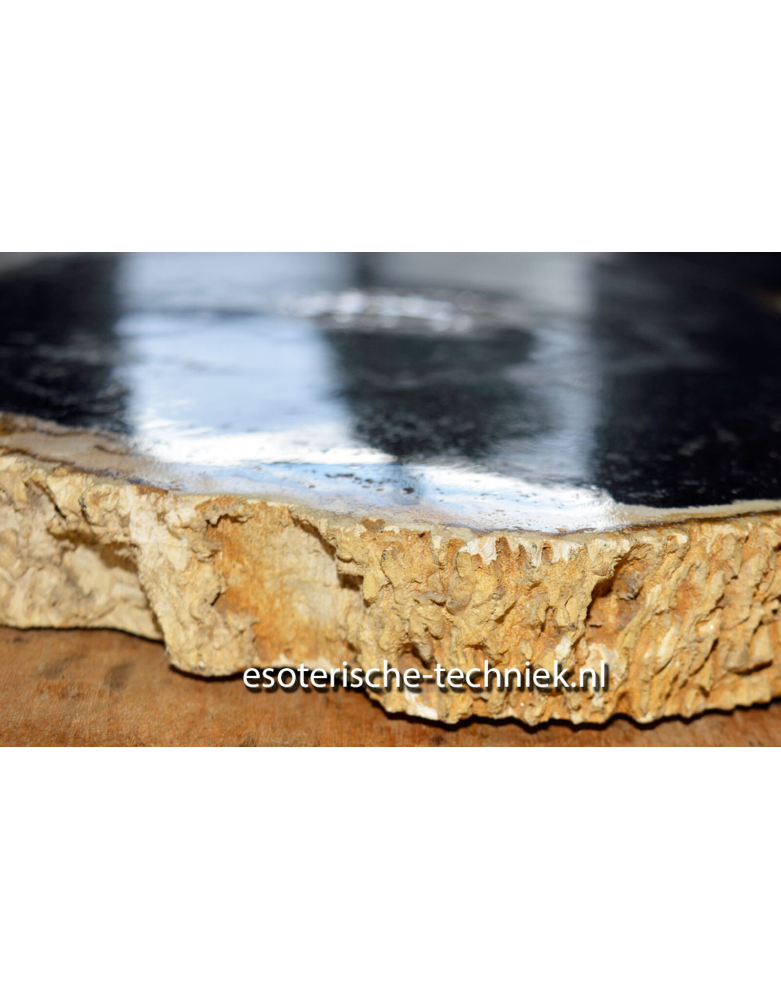 Orgonite Oplaadschijf Versteend Palmboom Hout (Pohon Kelapa) met Apatiet, Rode Jaspis, Arkansas Bergkristal en Shungite