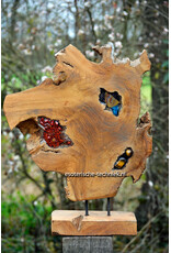 Orgonite Home Protection | Unique Teak Root Decoration