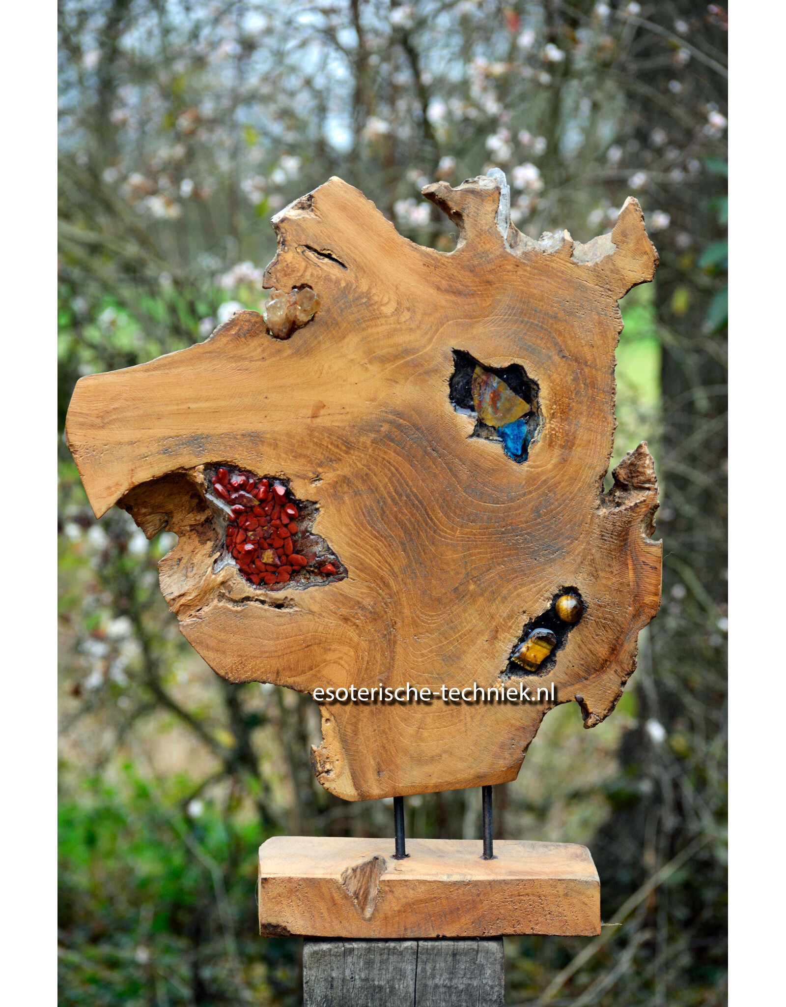 Orgonite Home Protection | Unique Teak Root Decoration