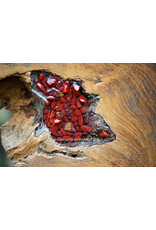 Orgonite Huisbescherming Unieke Teakhouten Wortel Decoratie