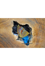 Orgonite Home Protection | Unique Teak Root Decoration