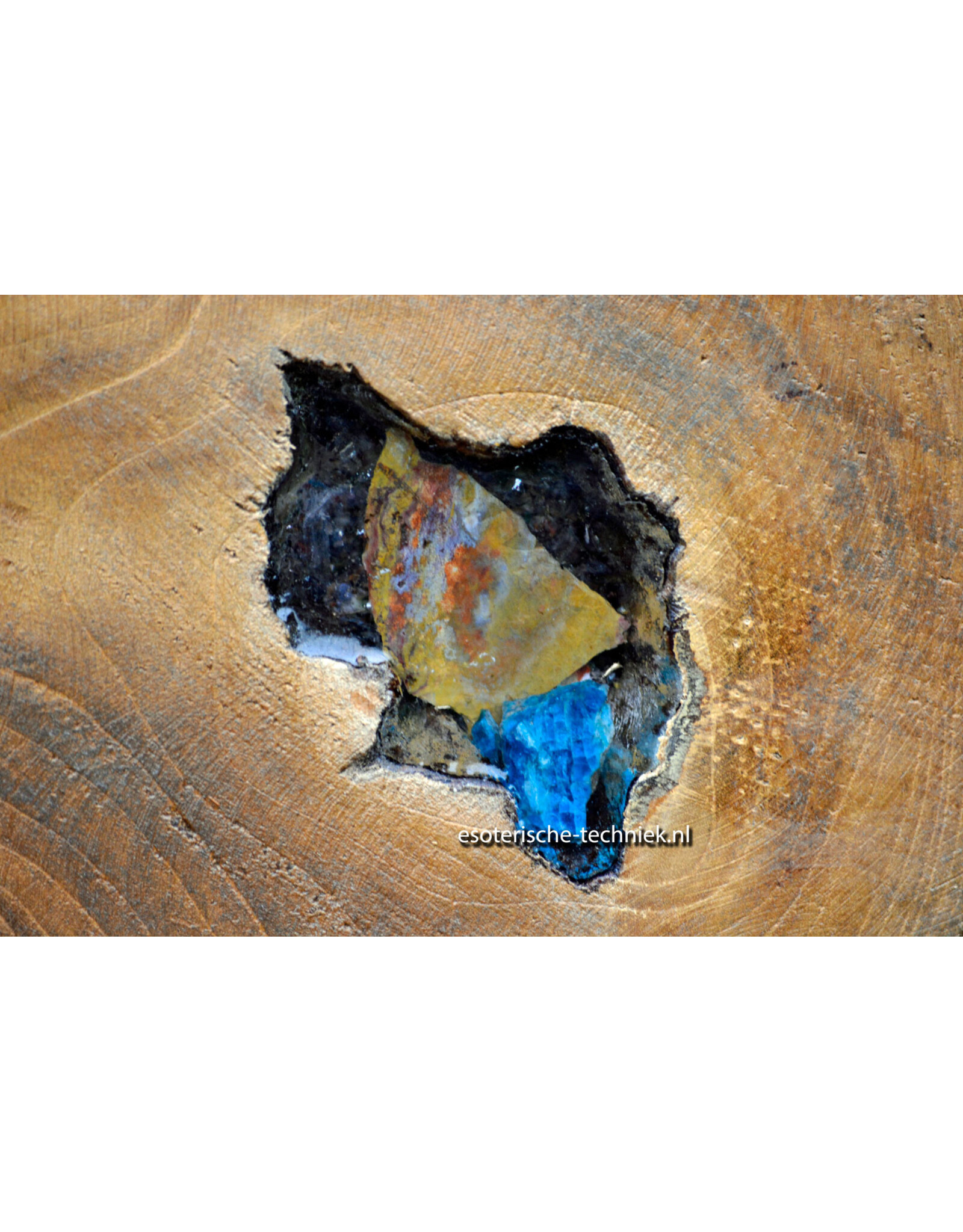 Orgonite Home Protection | Unique Teak Root Decoration