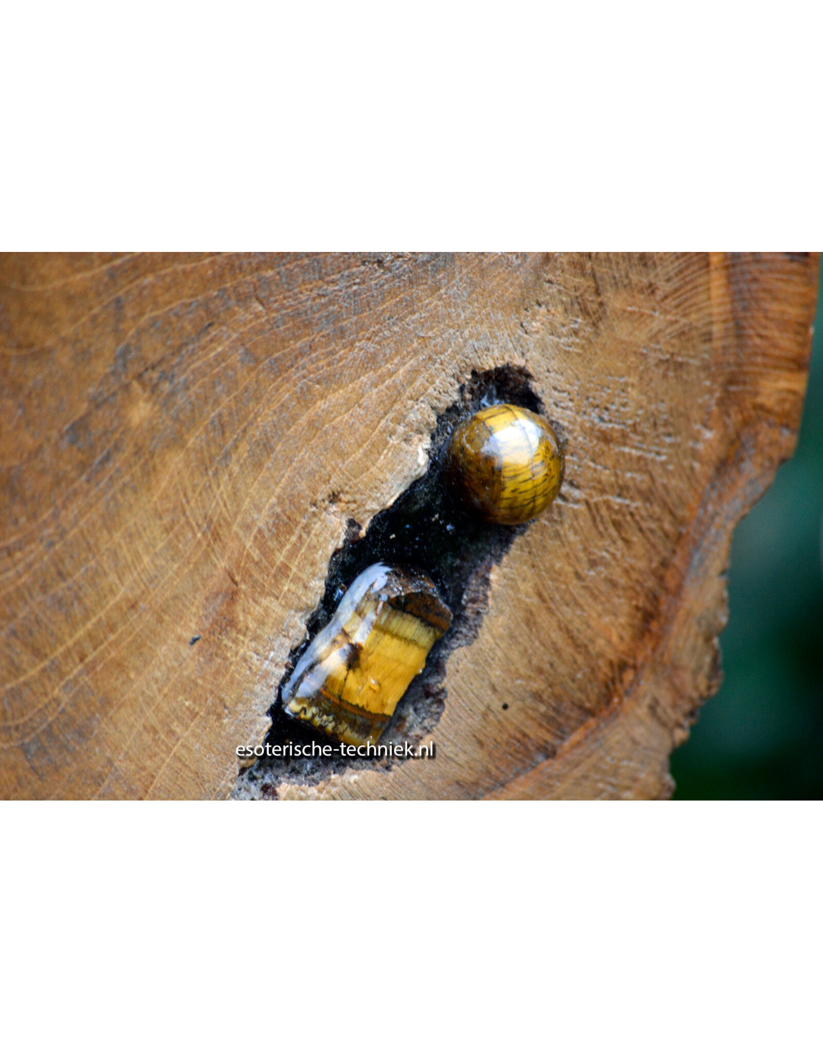 Orgonite Home Protection | Unique Teak Root Decoration