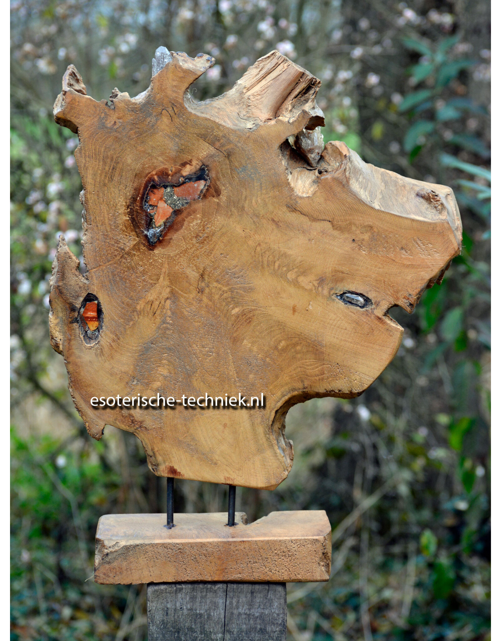 Orgonite Home Protection | Unique Teak Root Decoration