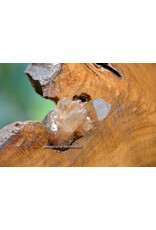 Orgonite Home Protection | Unique Teak Root Decoration