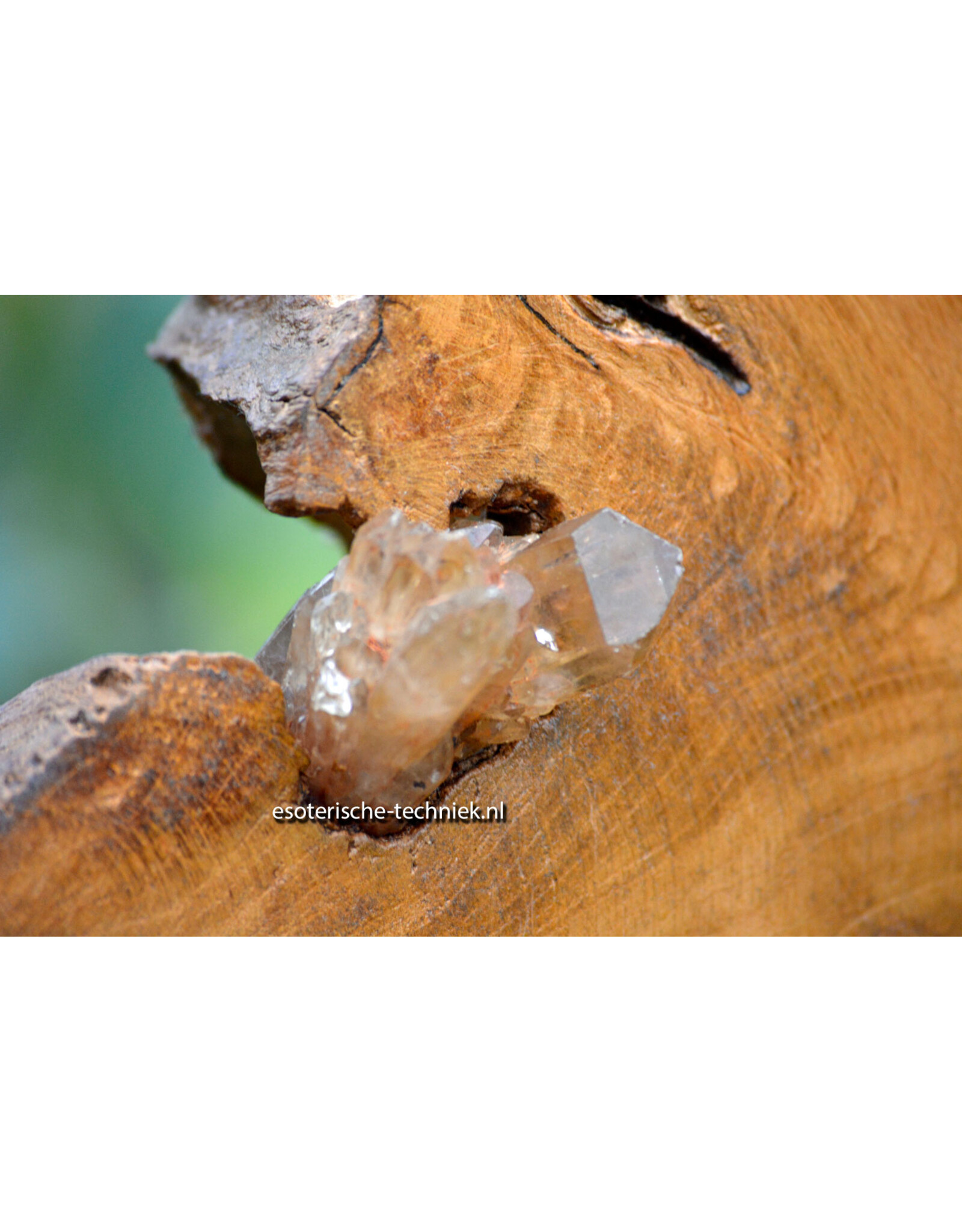 Orgonite Huisbescherming Unieke Teakhouten Wortel Decoratie