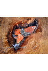 Orgonite Home Protection | Unique Teak Root Decoration