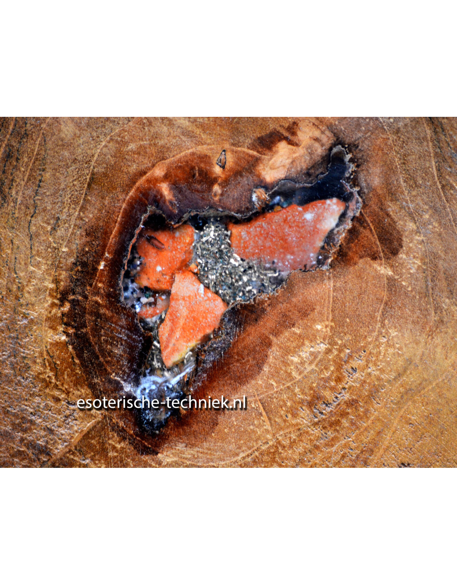 Orgonite Home Protection | Unique Teak Root Decoration