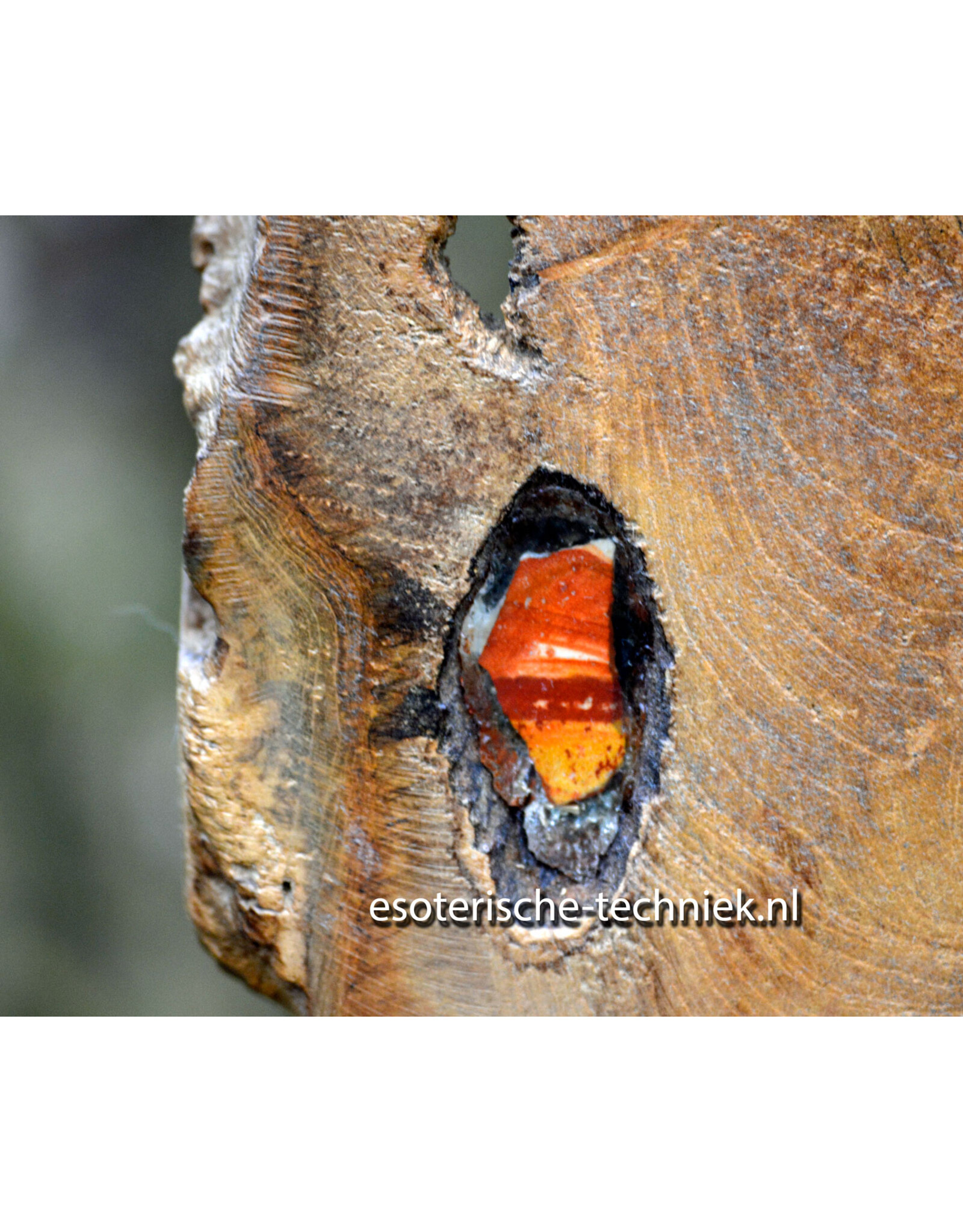 Orgonite Home Protection | Unique Teak Root Decoration