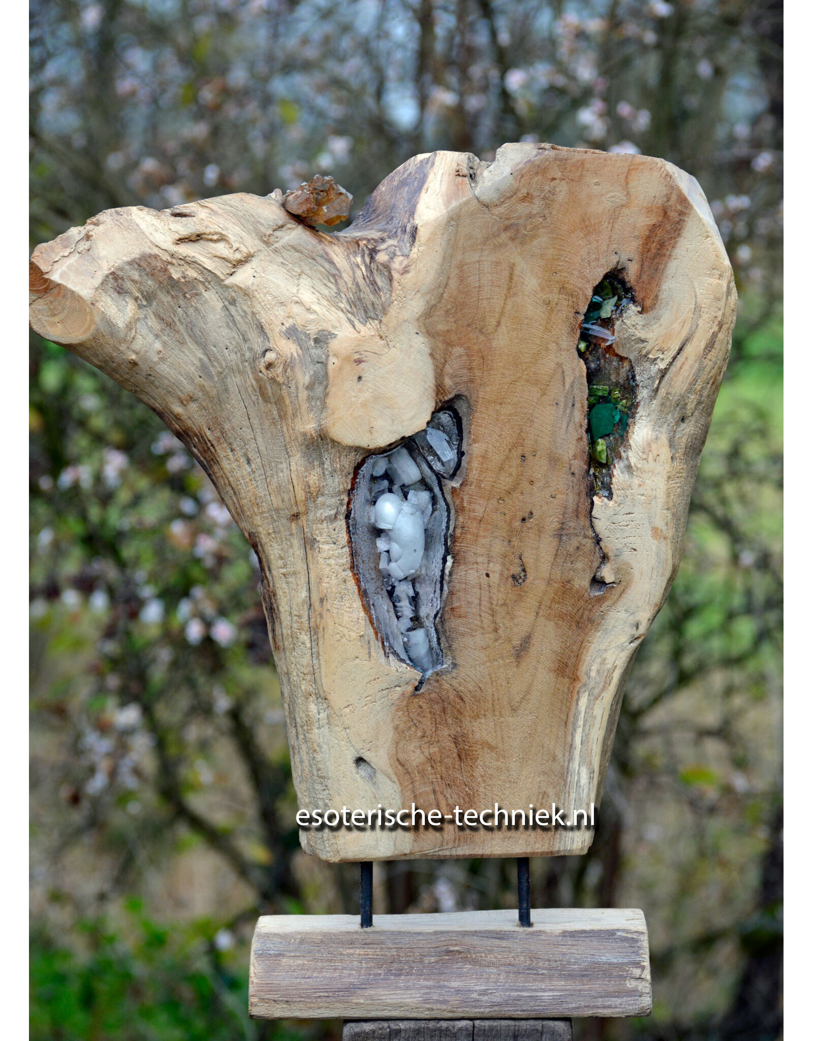 Orgonite Huisbescherming Unieke Teakhouten Wortel Decoratie