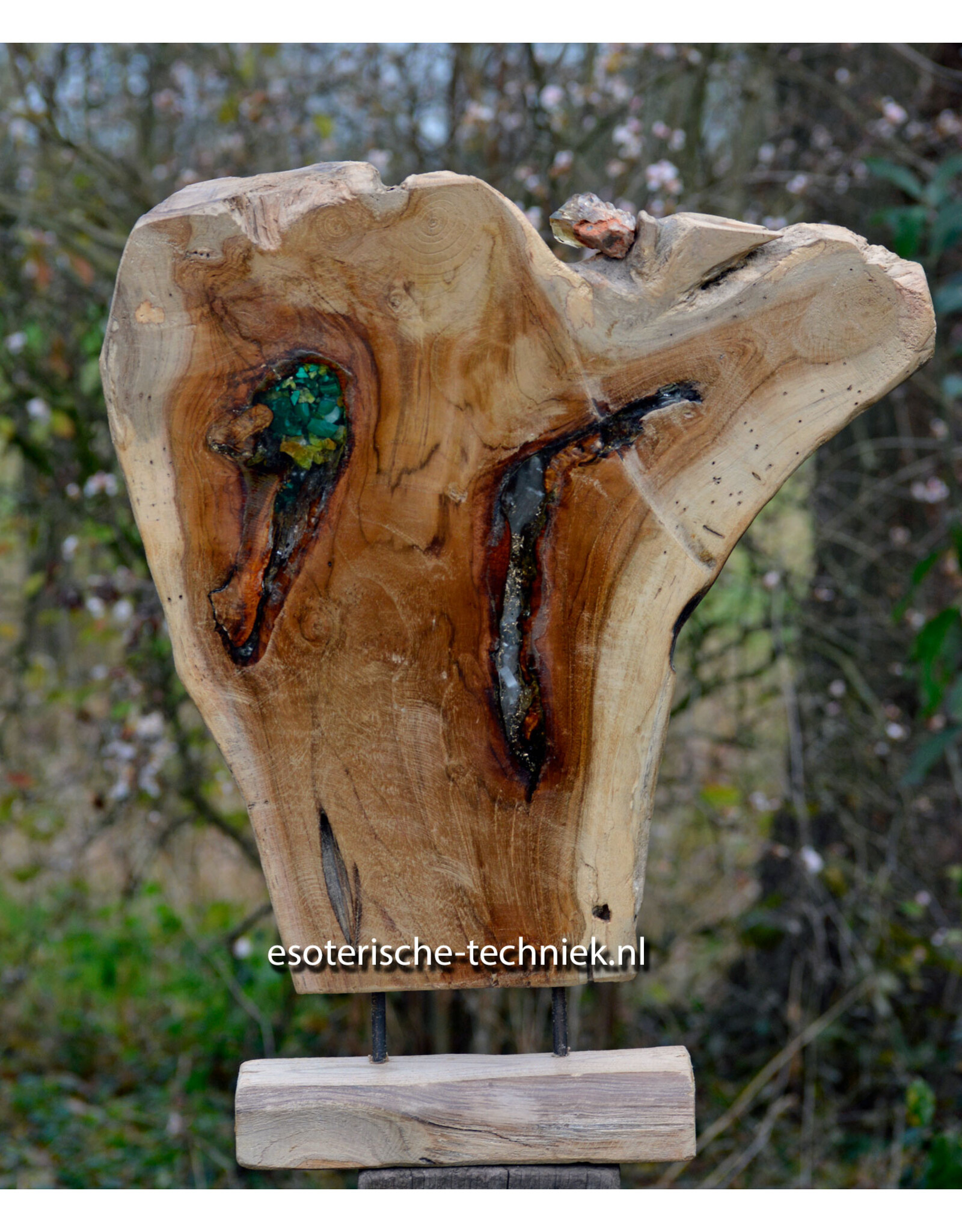 Orgonite Home Protection | Unique Teak Root Decoration