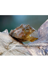 Orgonite Home Protection | Unique Teak Root Decoration