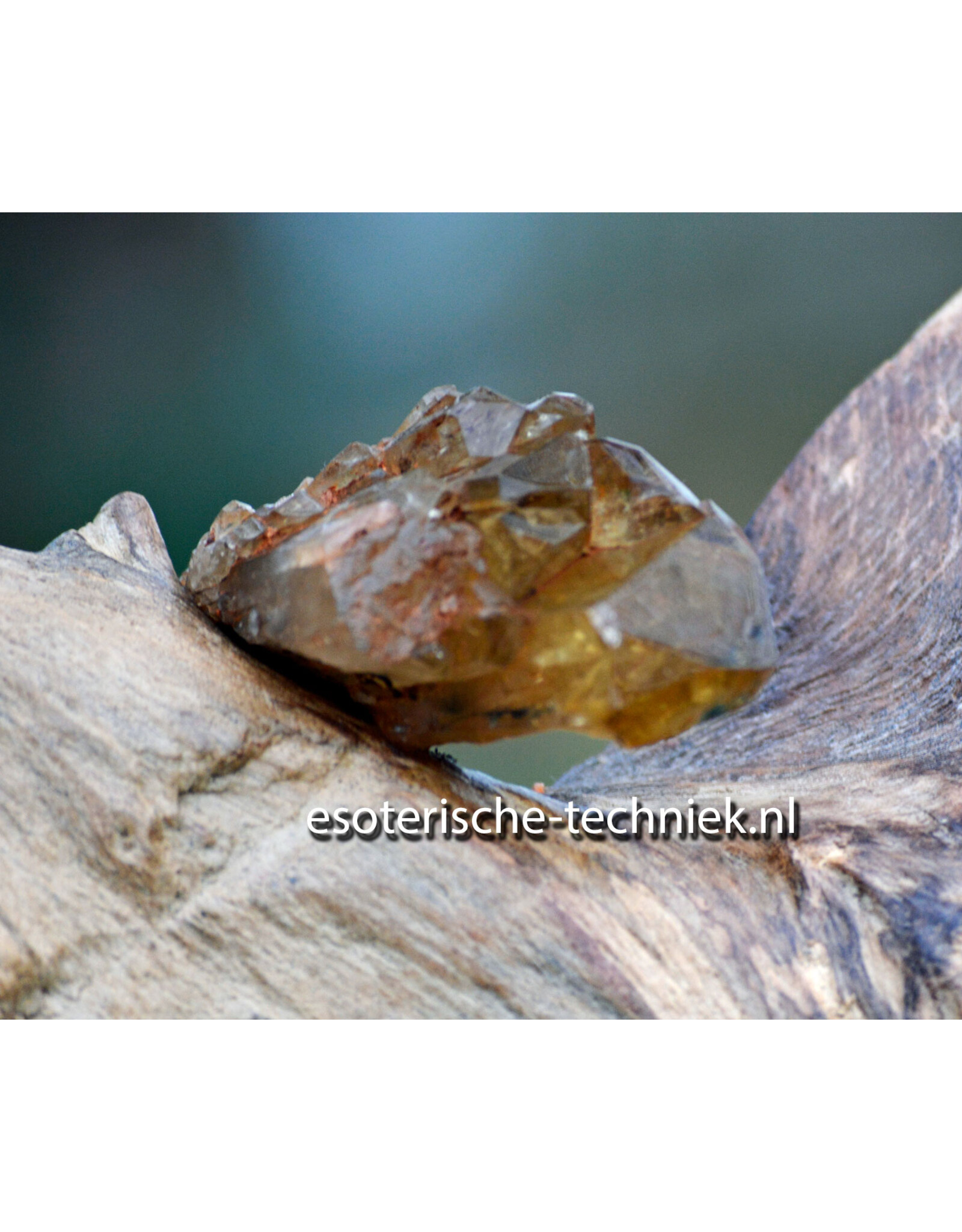 Orgonite Huisbescherming Unieke Teakhouten Wortel Decoratie