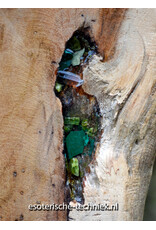 Orgonite Huisbescherming Unieke Teakhouten Wortel Decoratie