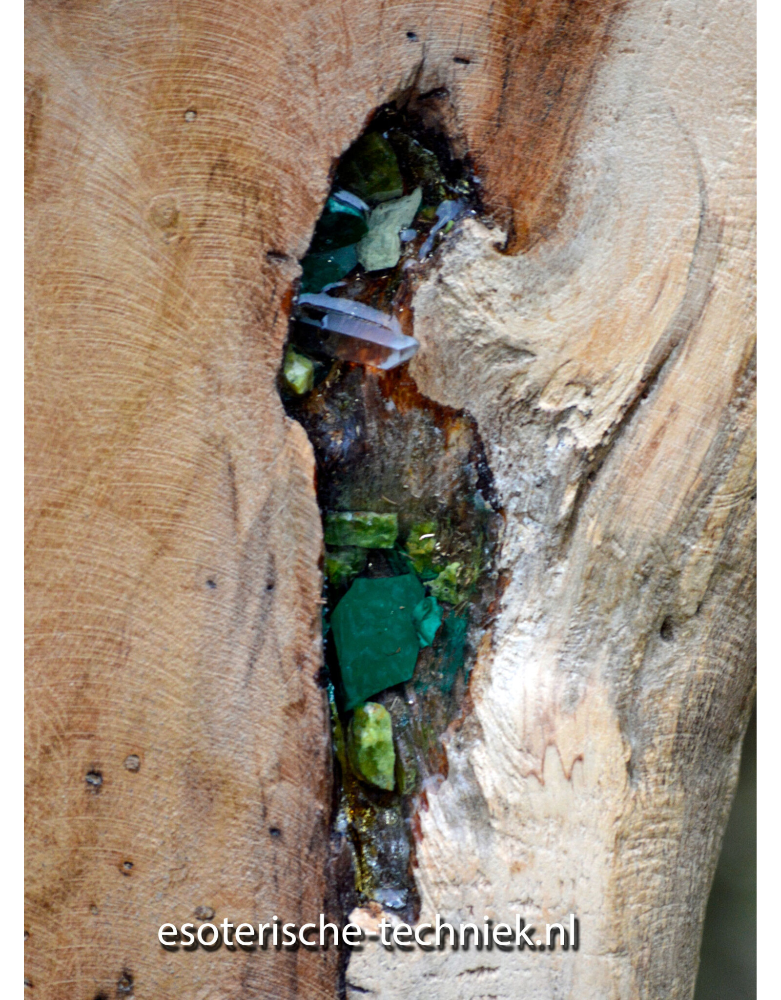 Orgonite Huisbescherming Unieke Teakhouten Wortel Decoratie