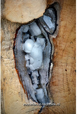 Orgonite Huisbescherming Unieke Teakhouten Wortel Decoratie