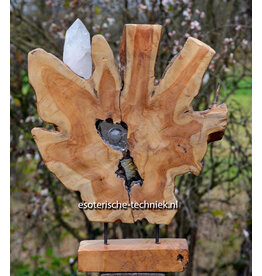 Unieke teakhouten Orgonite  huisbescherming