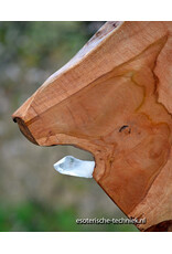 Orgonite Huisbescherming Unieke Teakhouten Wortel Decoratie