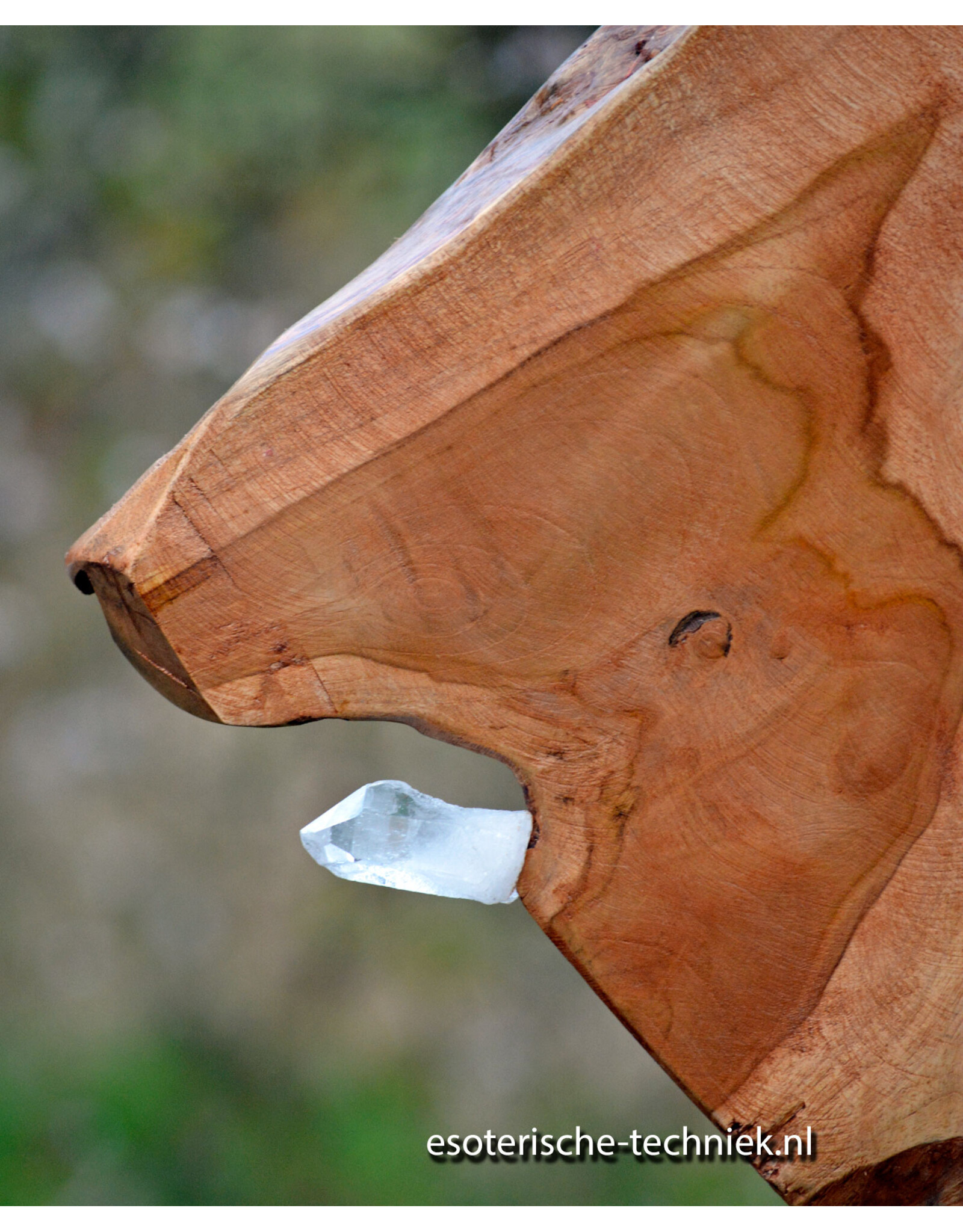 Orgonite Huisbescherming Unieke Teakhouten Wortel Decoratie