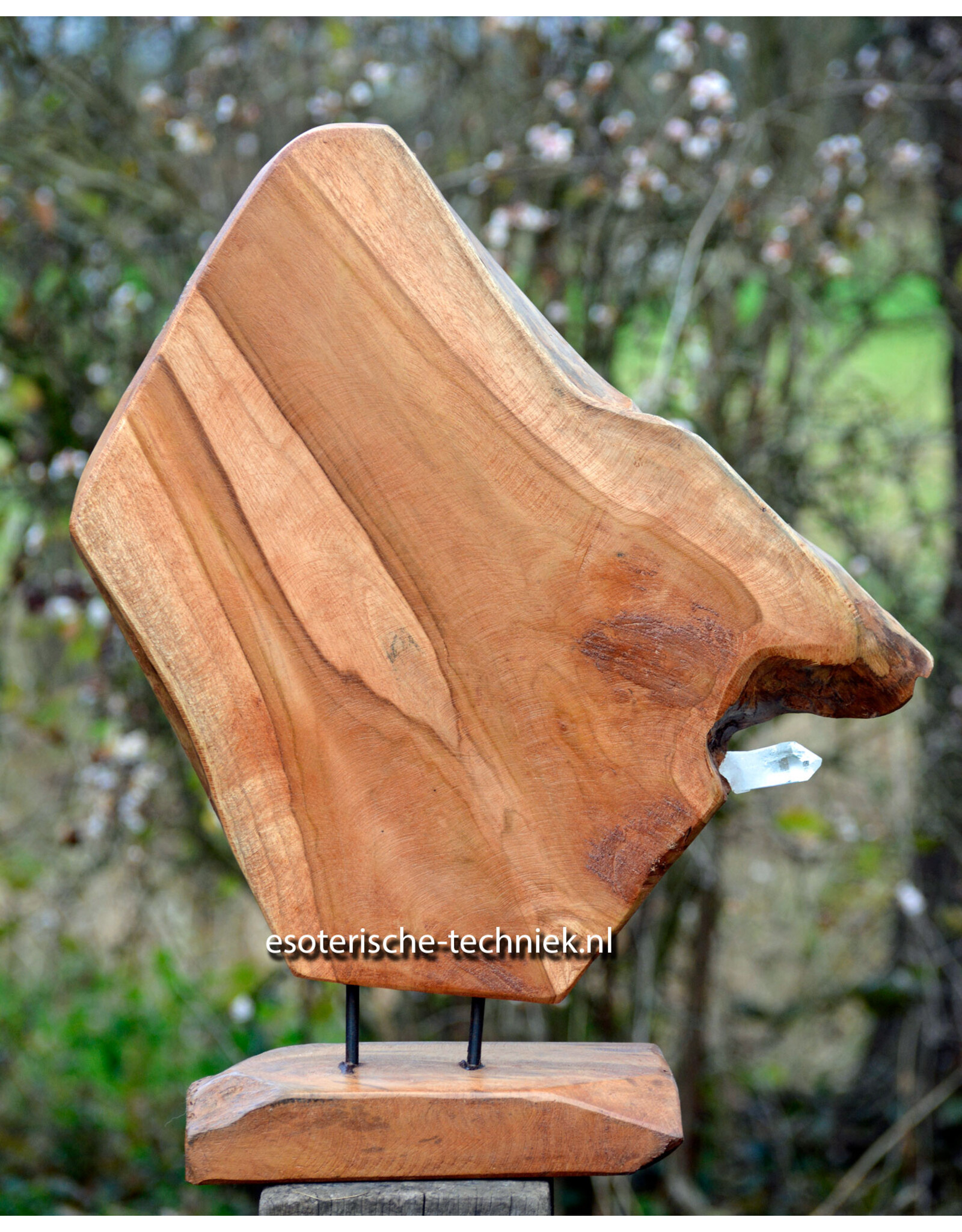 Orgonite Home Protection | Unique Teak Root Decoration